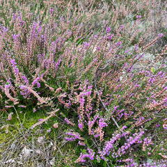 23-09-18 13-34-52 7044